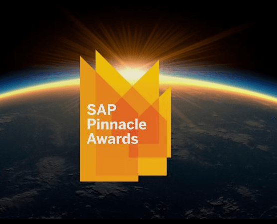 SAP ERP Partner of the Year – Small and Midsize Companies