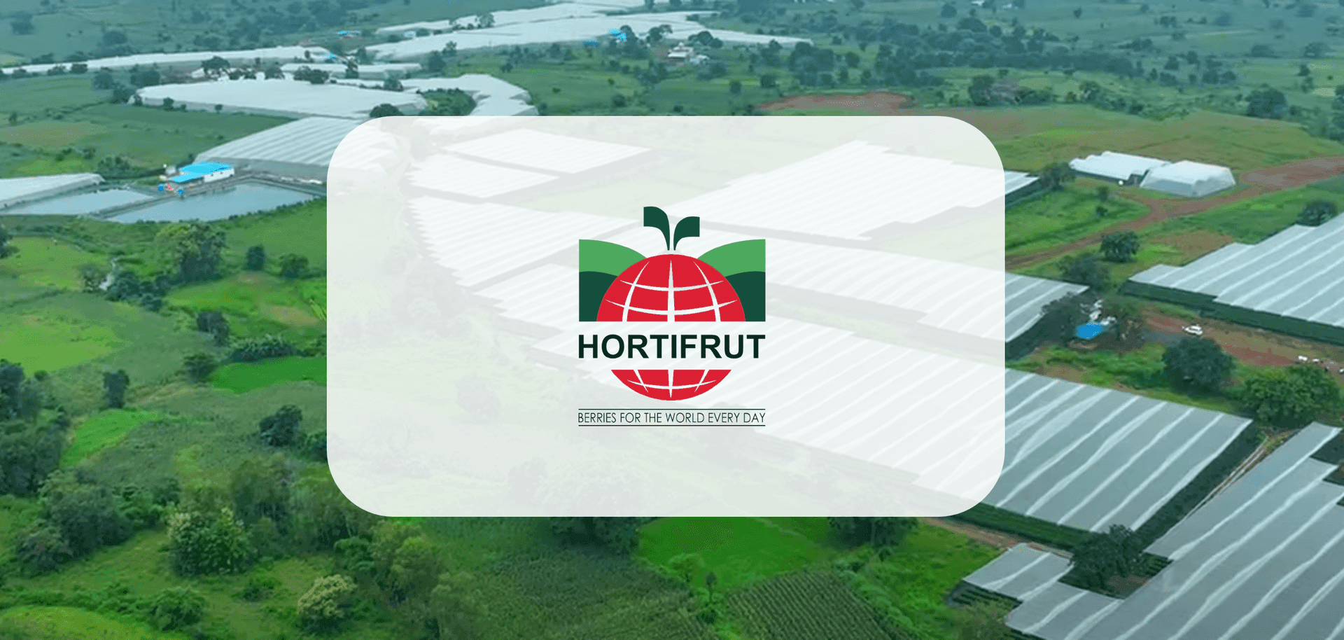 Hortifrut