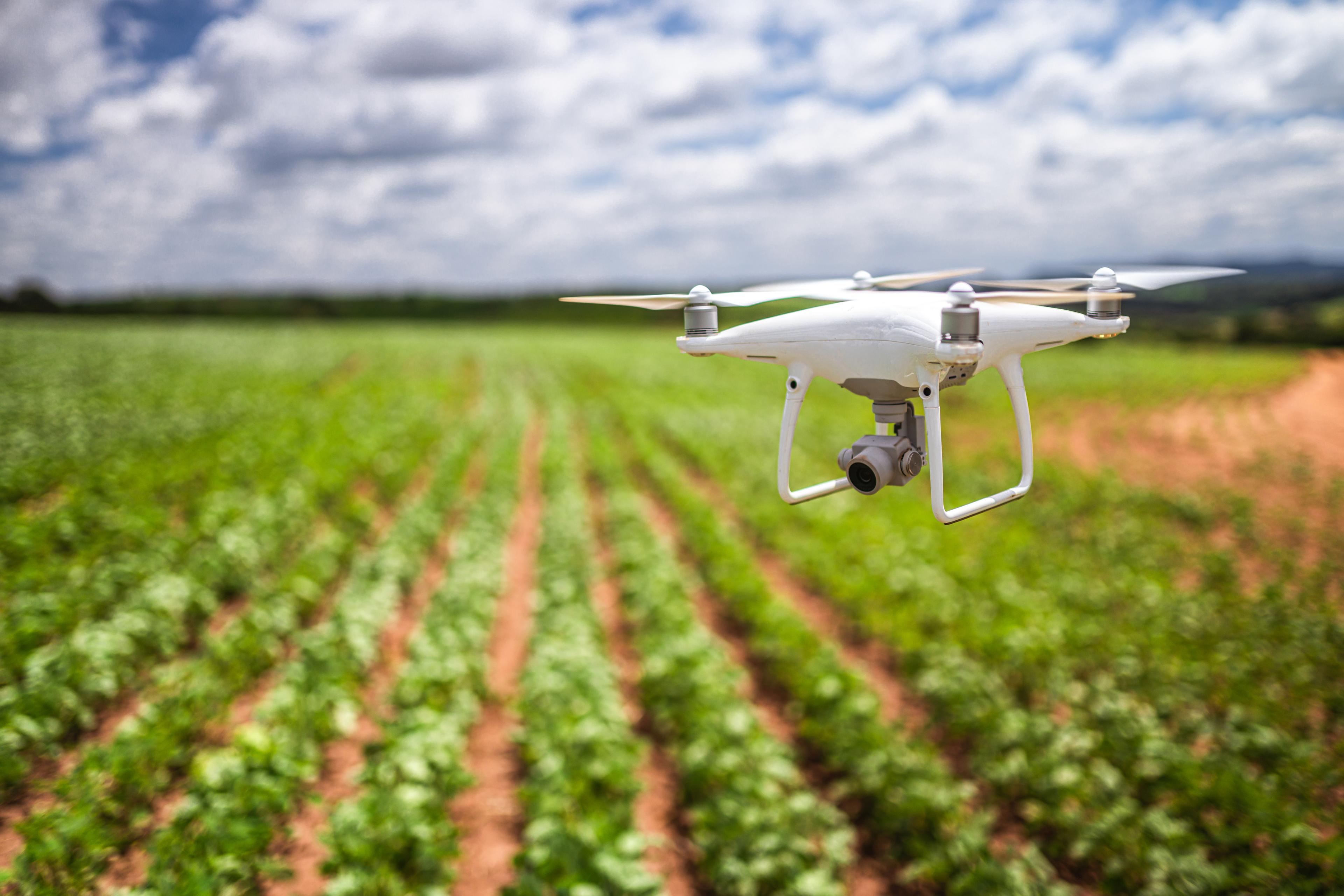 dron en un campo agrícola