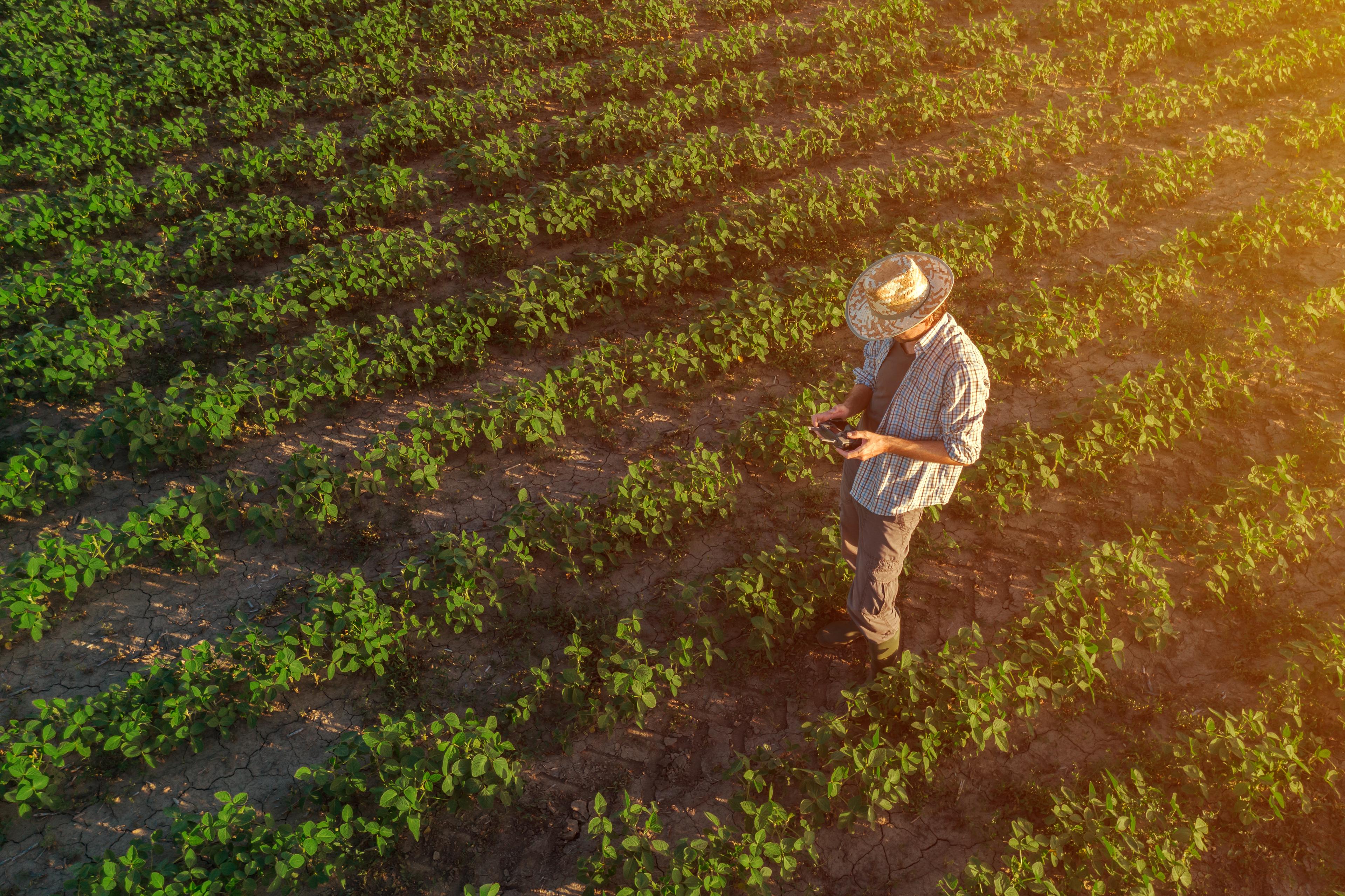 persona trabajando en el campo